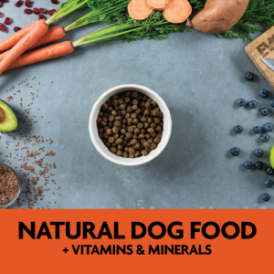 EVOLVE GRAIN FREE TURKEY & SWEET POTATO RECIPE DOG FOOD – Evolve Pet ...